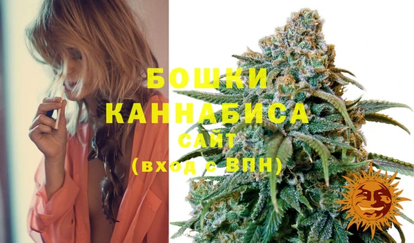 экстази Няндома