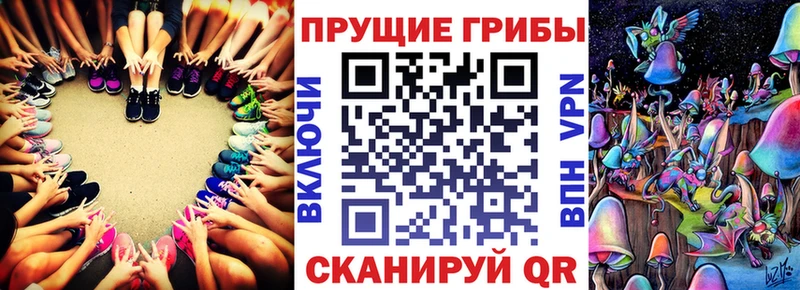 ОМГ ОМГ сайт  Семилуки  Галлюциногенные грибы Psilocybine cubensis 