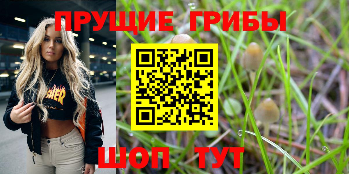 Семилуки  Псилоцибиновые грибы ЛСД  закладки  Вход с VPN  Галлюциногенные грибы прущие грибы 
