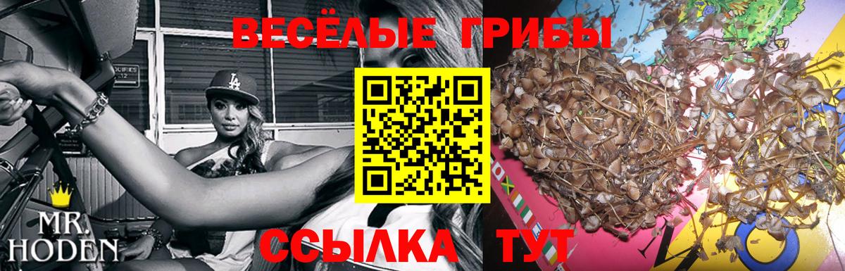 Галлюциногенные грибы GOLDEN TEACHER  Семилуки 